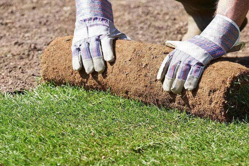 Turfing-Inner-West